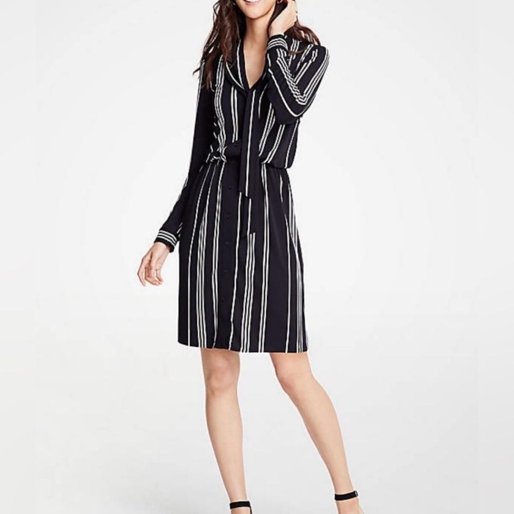 Ann Taylor Neck Tie Shirtdress
